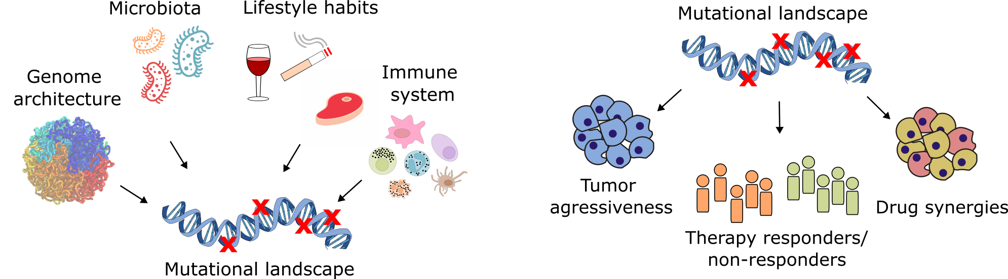 Illustration of my research interests